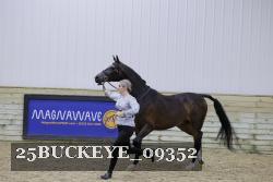 25BUCKEYE_09352 thumbnail