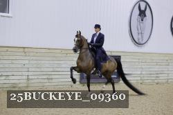 25BUCKEYE_09360 thumbnail