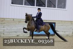 25BUCKEYE_09368 thumbnail