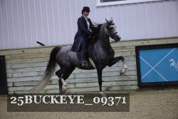 25BUCKEYE_09371 thumbnail