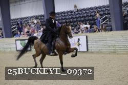 25BUCKEYE_09372 thumbnail