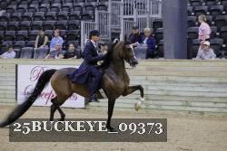 25BUCKEYE_09373 thumbnail