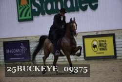 25BUCKEYE_09375 thumbnail