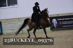 25BUCKEYE_09376 thumbnail