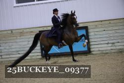 25BUCKEYE_09377 thumbnail