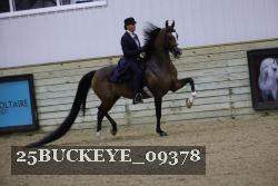 25BUCKEYE_09378 thumbnail
