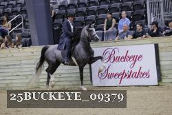 25BUCKEYE_09379 thumbnail