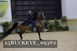 25BUCKEYE_09382 thumbnail