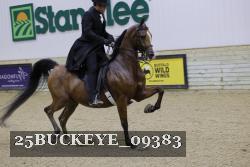 25BUCKEYE_09383 thumbnail