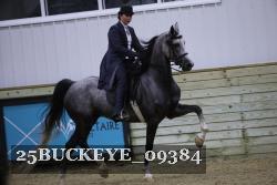 25BUCKEYE_09384 thumbnail