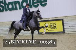 25BUCKEYE_09385 thumbnail