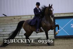 25BUCKEYE_09386 thumbnail
