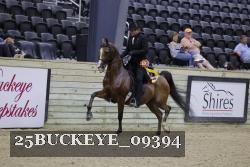 25BUCKEYE_09394 thumbnail