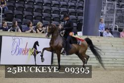 25BUCKEYE_09395 thumbnail