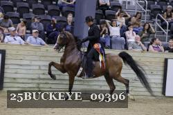 25BUCKEYE_09396 thumbnail