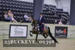 25BUCKEYE_09398 thumbnail