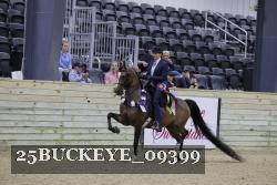25BUCKEYE_09399 thumbnail