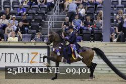 25BUCKEYE_09401 thumbnail