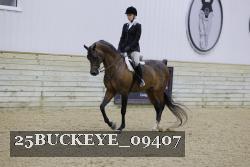 25BUCKEYE_09407 thumbnail