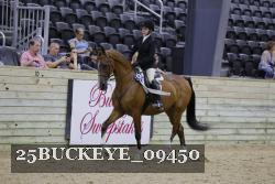 25BUCKEYE_09450 thumbnail