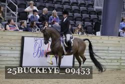 25BUCKEYE_09453 thumbnail