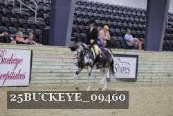 25BUCKEYE_09460 thumbnail