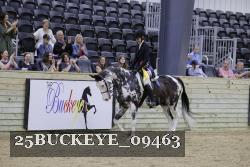 25BUCKEYE_09463 thumbnail