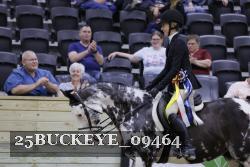 25BUCKEYE_09464 thumbnail