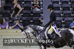 25BUCKEYE_09465 thumbnail