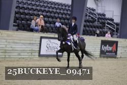 25BUCKEYE_09471 thumbnail