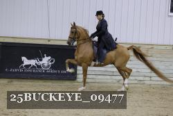 25BUCKEYE_09477 thumbnail