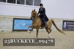 25BUCKEYE_09478 thumbnail