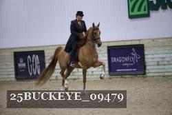 25BUCKEYE_09479 thumbnail