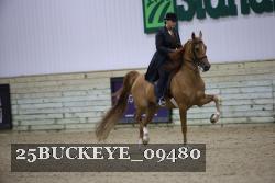 25BUCKEYE_09480 thumbnail