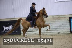 25BUCKEYE_09481 thumbnail