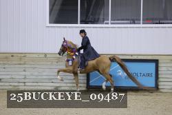 25BUCKEYE_09487 thumbnail