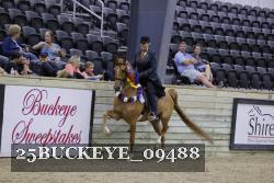 25BUCKEYE_09488 thumbnail