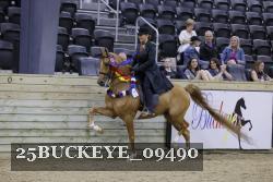 25BUCKEYE_09490 thumbnail