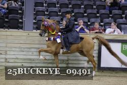 25BUCKEYE_09491 thumbnail