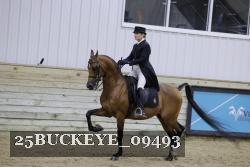 25BUCKEYE_09493 thumbnail