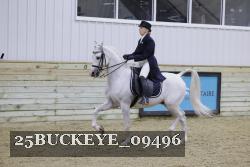 25BUCKEYE_09496 thumbnail
