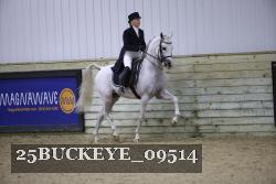 25BUCKEYE_09514 thumbnail