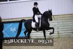 25BUCKEYE_09516 thumbnail