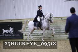 25BUCKEYE_09518 thumbnail