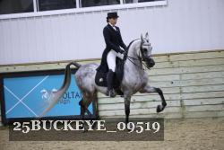 25BUCKEYE_09519 thumbnail