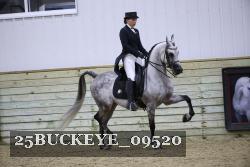 25BUCKEYE_09520 thumbnail