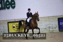 25BUCKEYE_09521 thumbnail