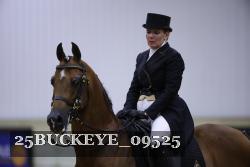 25BUCKEYE_09525 thumbnail