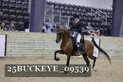25BUCKEYE_09539 thumbnail