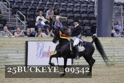 25BUCKEYE_09542 thumbnail